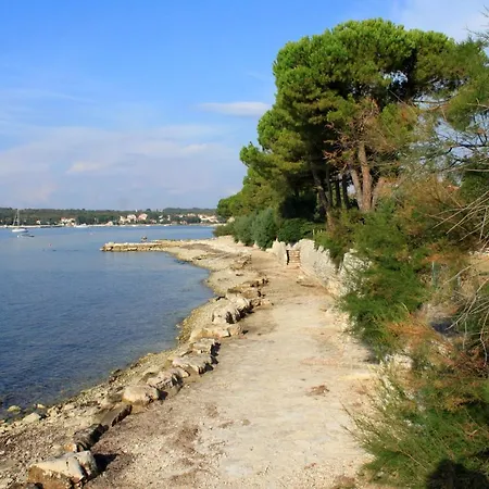 With A Parking Space Dajla, Novigrad - 6935 Lejlighed