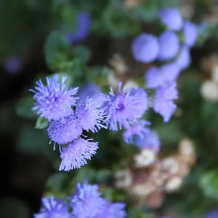 アパート With Parking Space Dajla, Novigrad - 6935 Novigrad Istria